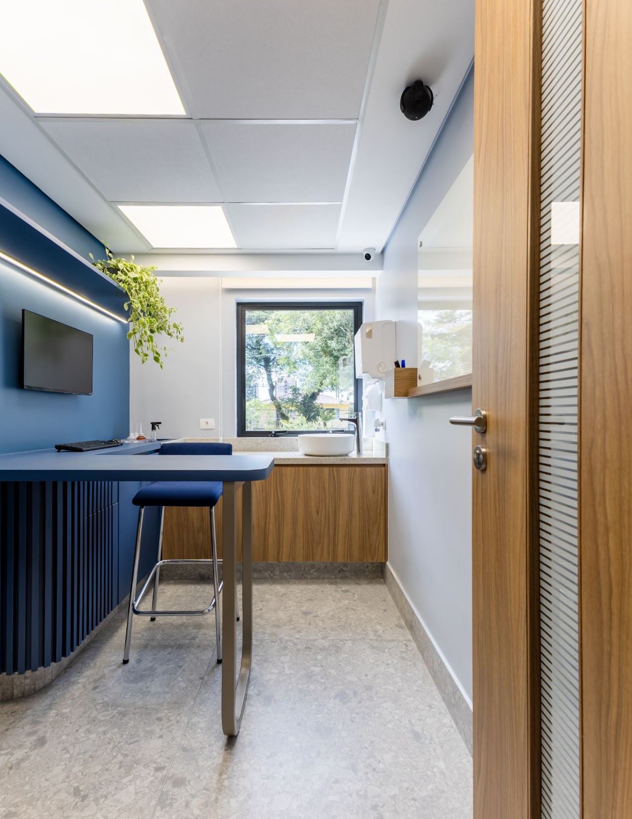 HOSPITAL VETERINÁRIO