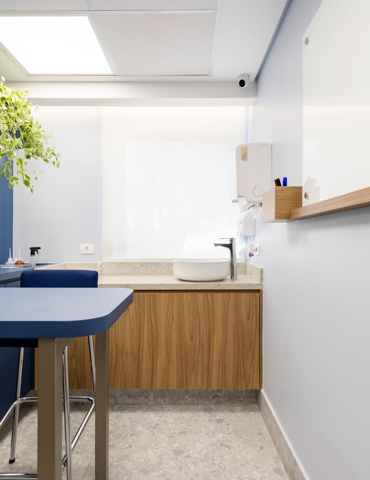 HOSPITAL VETERINÁRIO