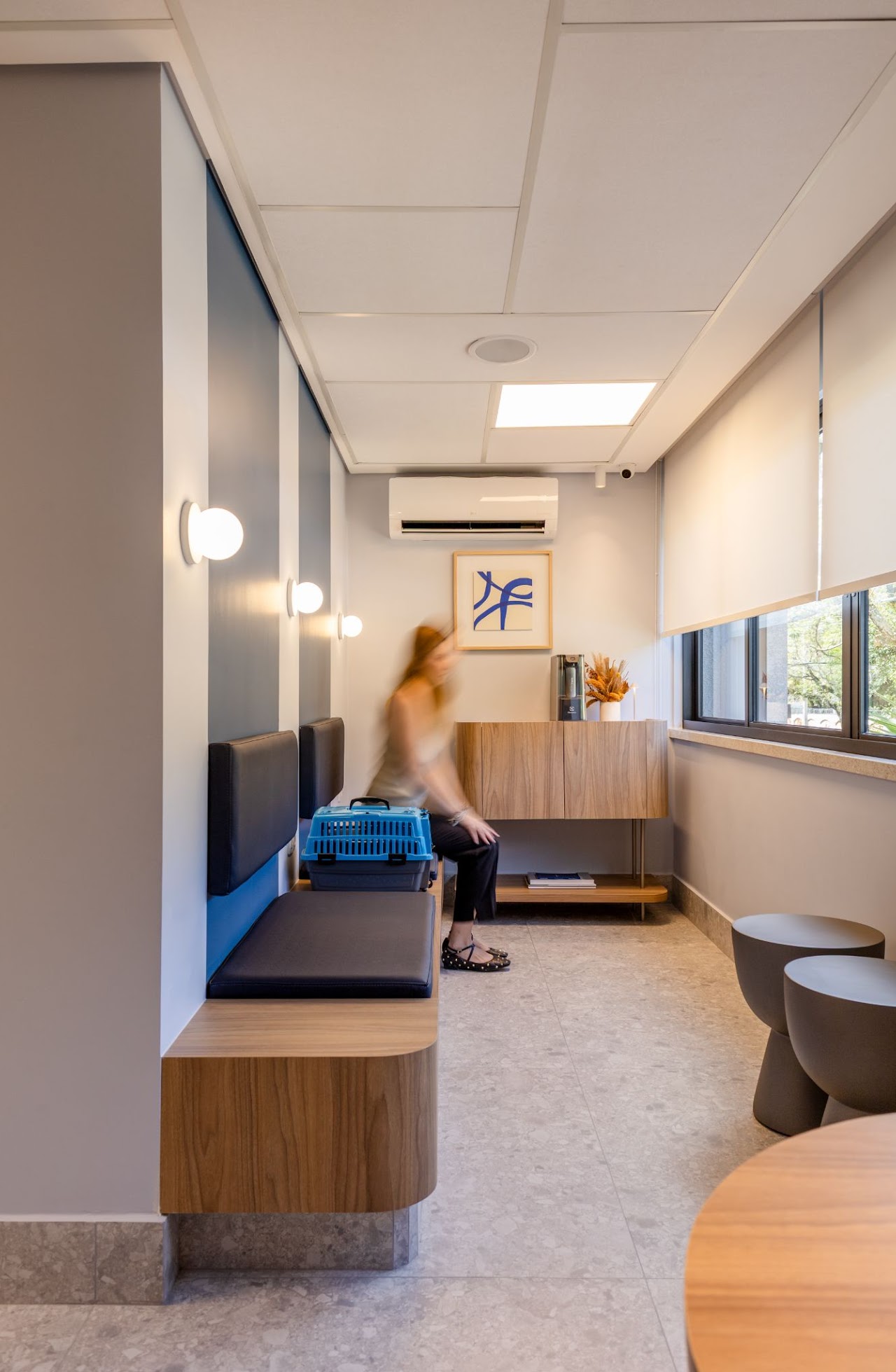 HOSPITAL VETERINÁRIO